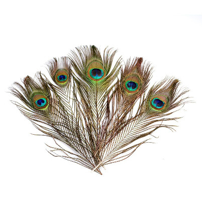 Peacock Feathers - Bulu Merak Artificial (5pcs)