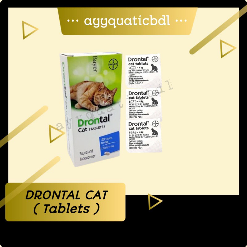 DRONTAL CAT KUCING 1 TABLET - Obat Cacing Hewan Kucing Cat Kitten