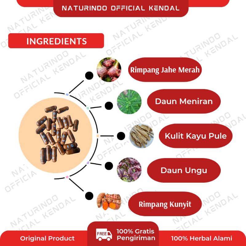 Obat Lipoma Benjolan di Leher Ketiak Punggung Lengan  Kelenjar Getah Bening Tiroid