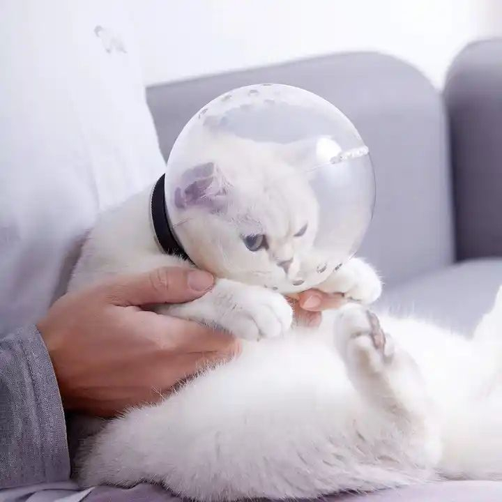 Brongsong Penutup Mulut Hewan Peliharaan Kucing Anti Gigit Astronot Bahan Breathable