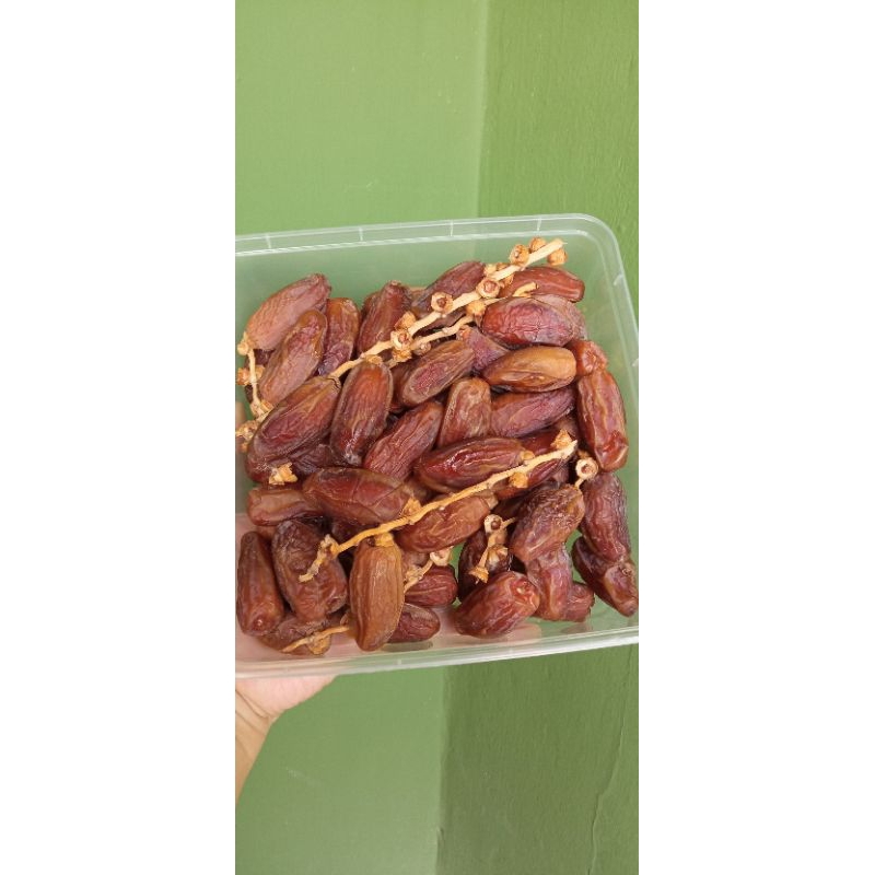 

kurma tunisia tangkai