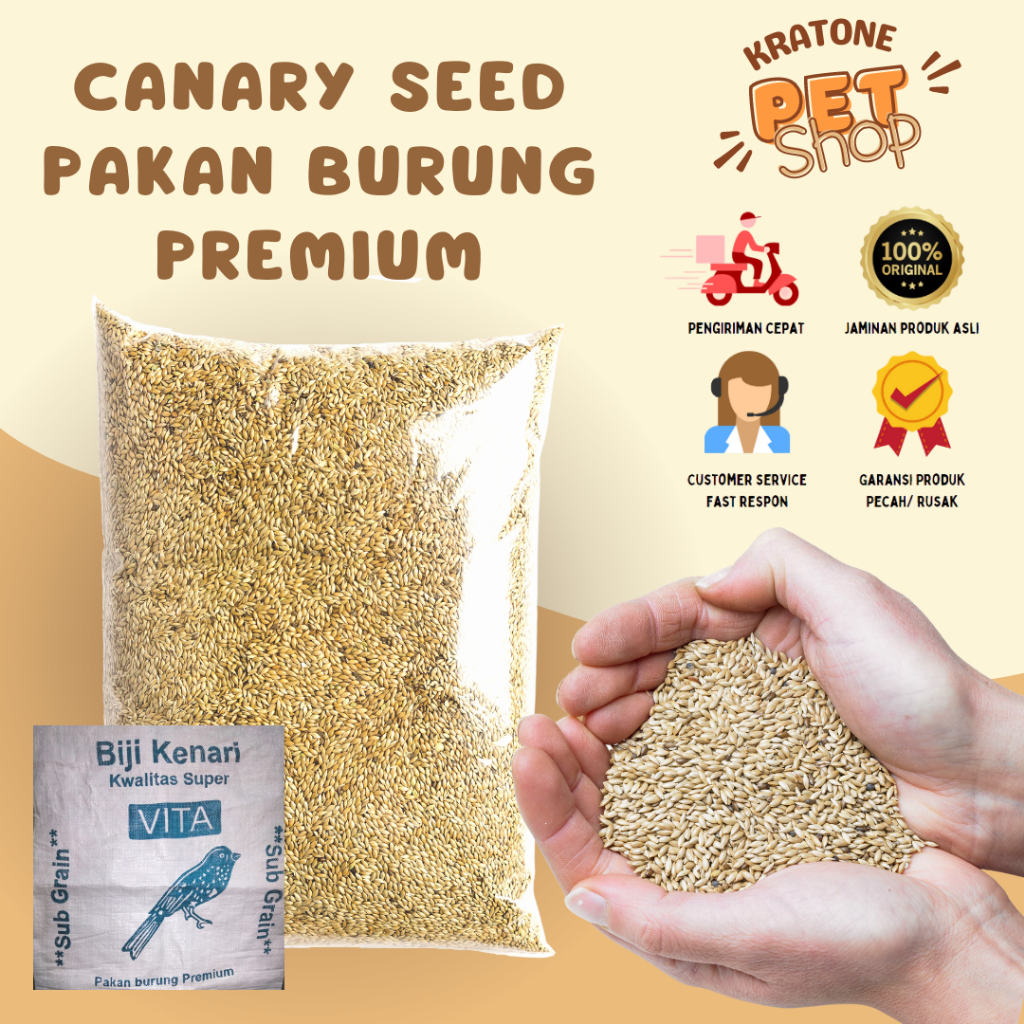 Canary Seed/ Kenari Seed/ Kenari Seed Vita Repack