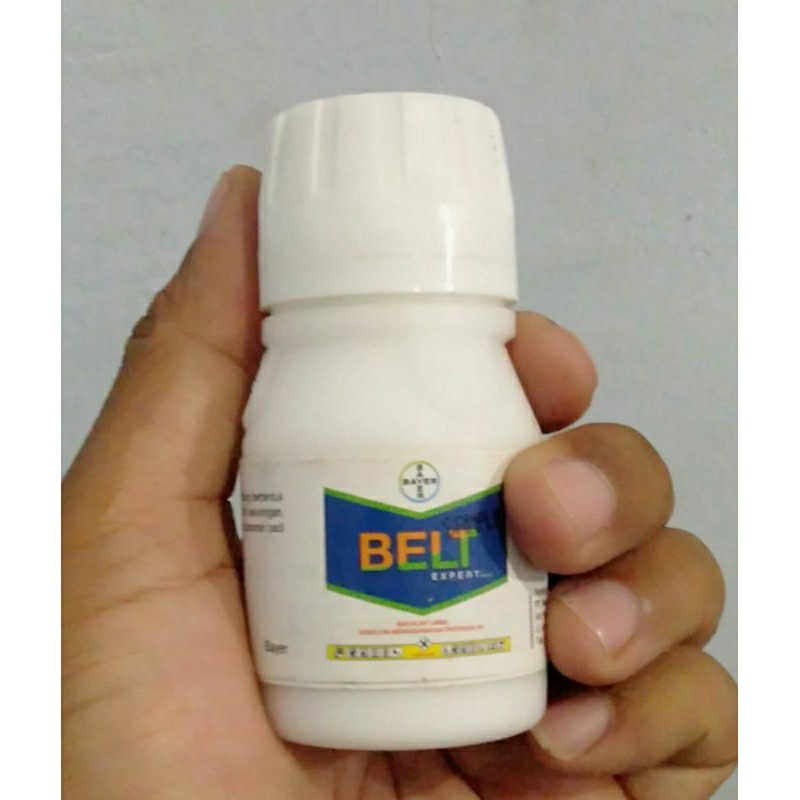 insektisida Belt expert 480sc 50 ml