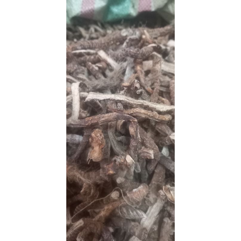 

Rimpang Dlingo - Dlingu - Delingu 250gr