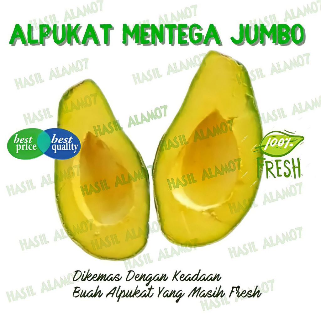 

Buah Alpukat Jumbo Avocado Mentega Segar Fresh Fruits 1 Kg