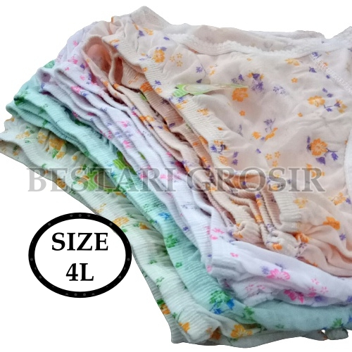 (SIZE 4L) LUSINAN 12 PCS CELANA DALAM WANITA MURAH / GROSIR CD WANITA 1 LUSIN AKA