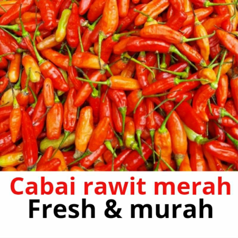 

cabe/cabai rawit merah fresh murah 100gram