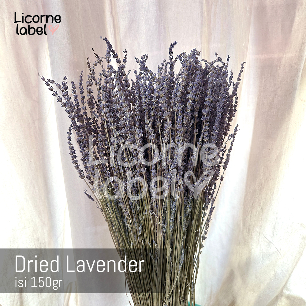 Dried Lavender Bunga kering hias decor bundles isi 150gr