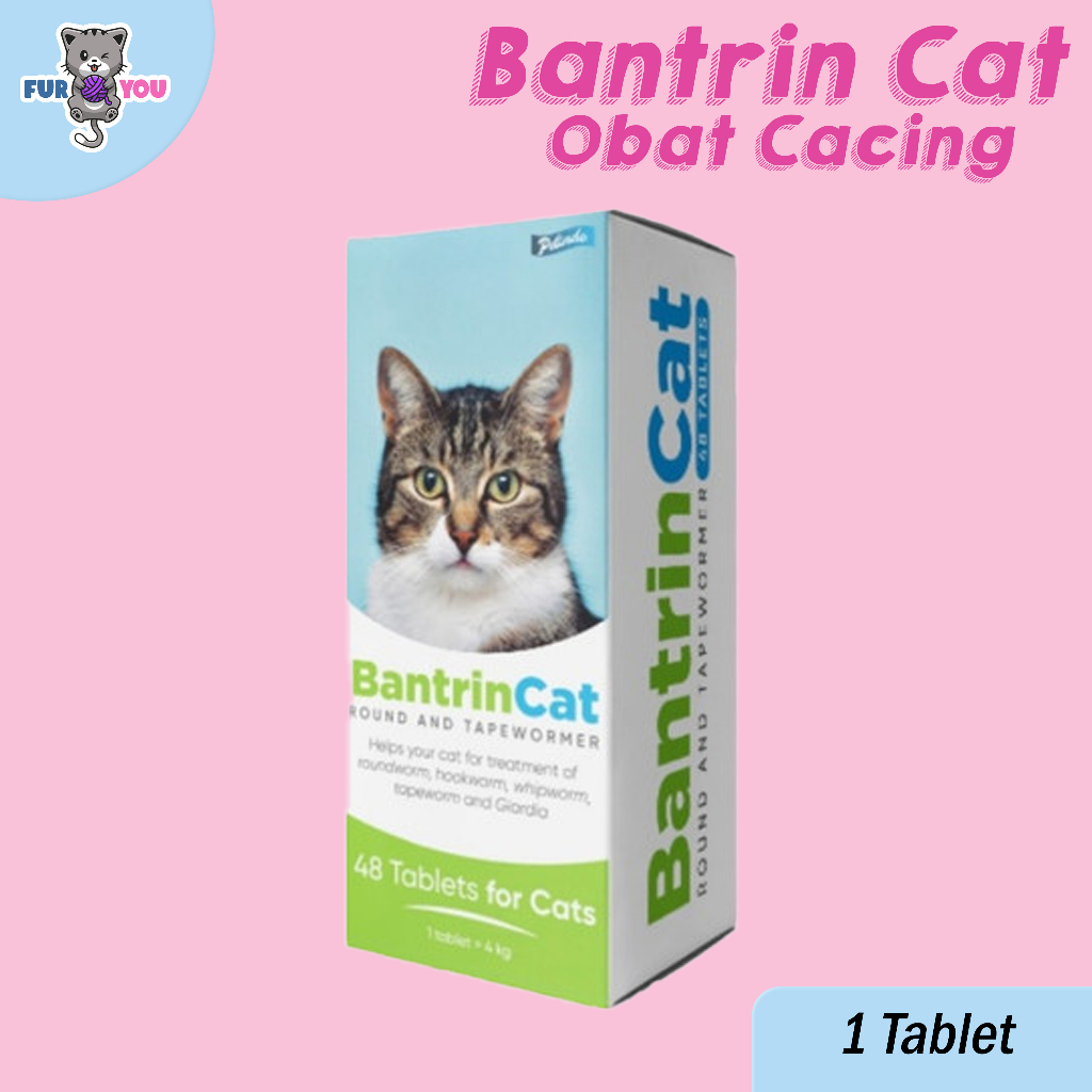 Bantrin Cat Obat Cacing Kucing 1 Tablet