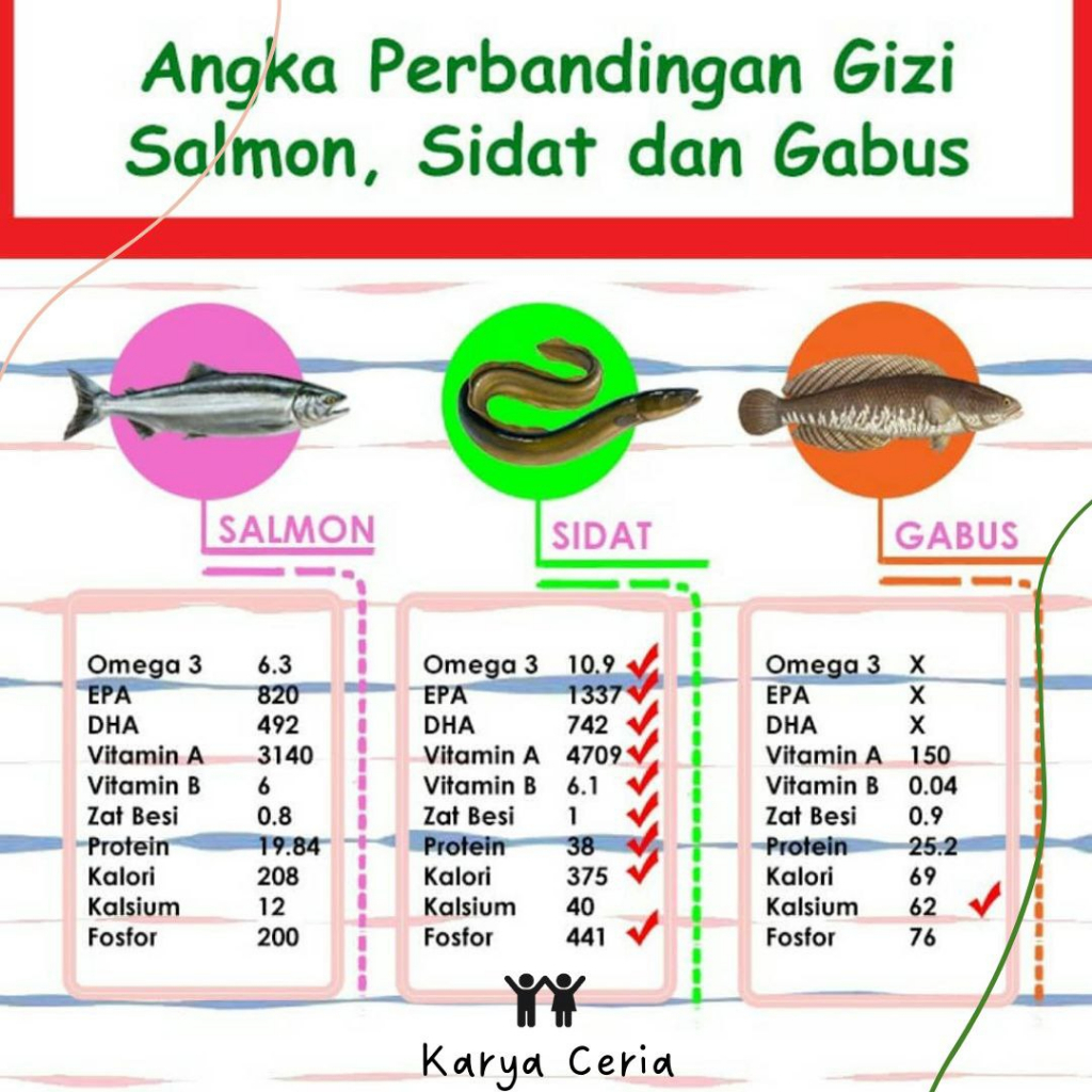 Nutridat Madu Anggur Suplemen Anak Penambah Nafsu Makan Kecerdasan Berat Badan Meningkatkan Imunitas Usia 1 - 12 Tahun