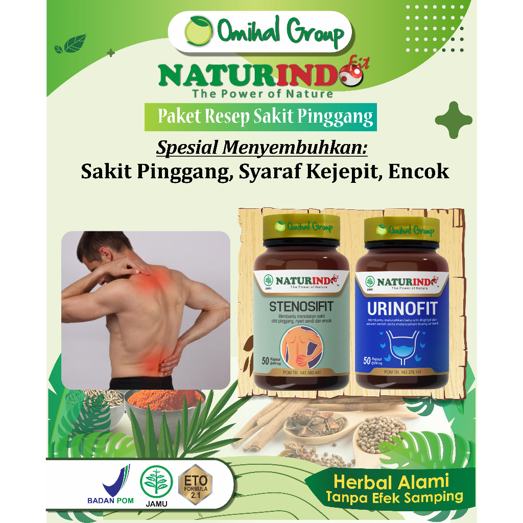 Obat Sakit Pinggang Syaraf Kejepit Manjur 100% Herbal Alami sepaket STENOSIFIT URINOFIT Naturindo