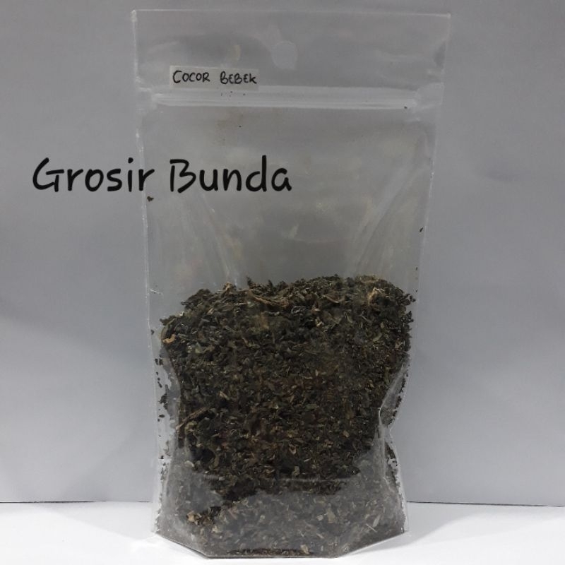 

Daun Cocor Bebek Kering 50 Gram / Cocor Bebek Bubuk Kasar / Diabetes / Alergi / Hipertensi / Kolesterol / Luka / Peradangan
