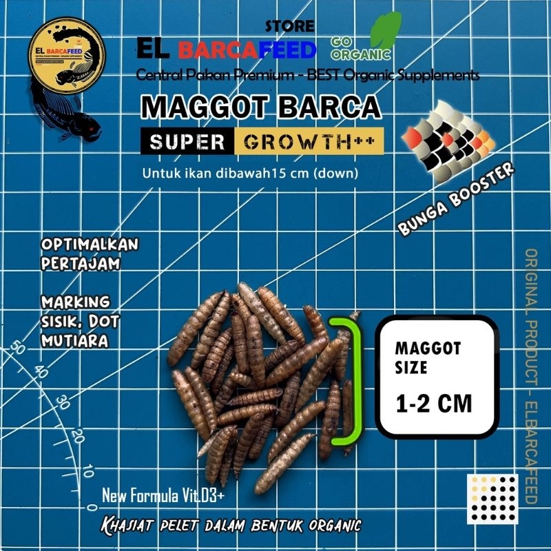 Maggot BARCA Super Growth kemasan botol 30 Gram