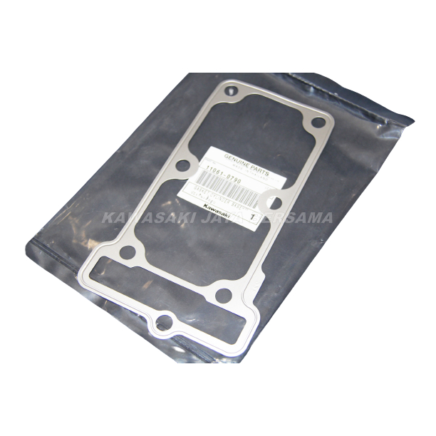 Paking Packing Boring Blok seher Ninja 250Fi Ninja 250 fi 11061-0790