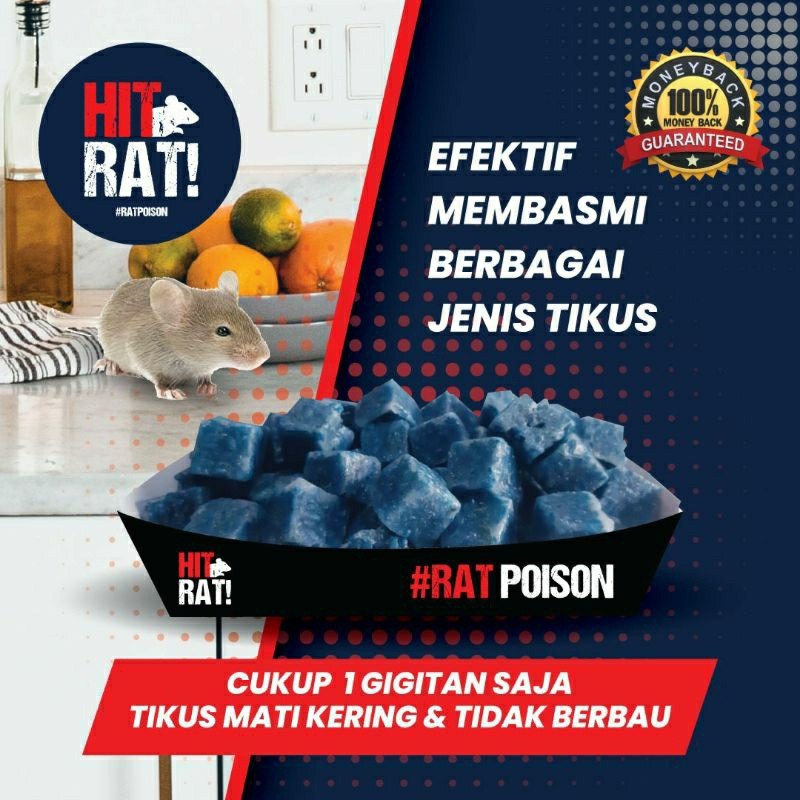 [BISA COD] Racun Tikus Ampuh Original Bentuk Blok Manjur Basmi Tikus Sawah HITRAT 200gr