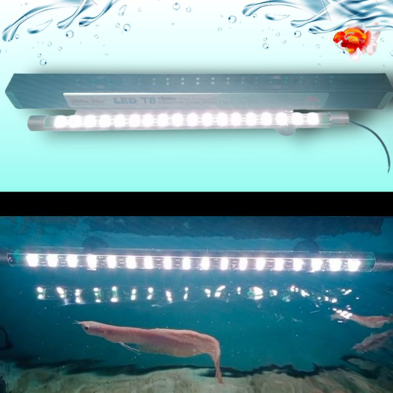 Lampu Led Tanning Aquarium Under Water Light Led NIKITA STAR Red Arowana T8 600