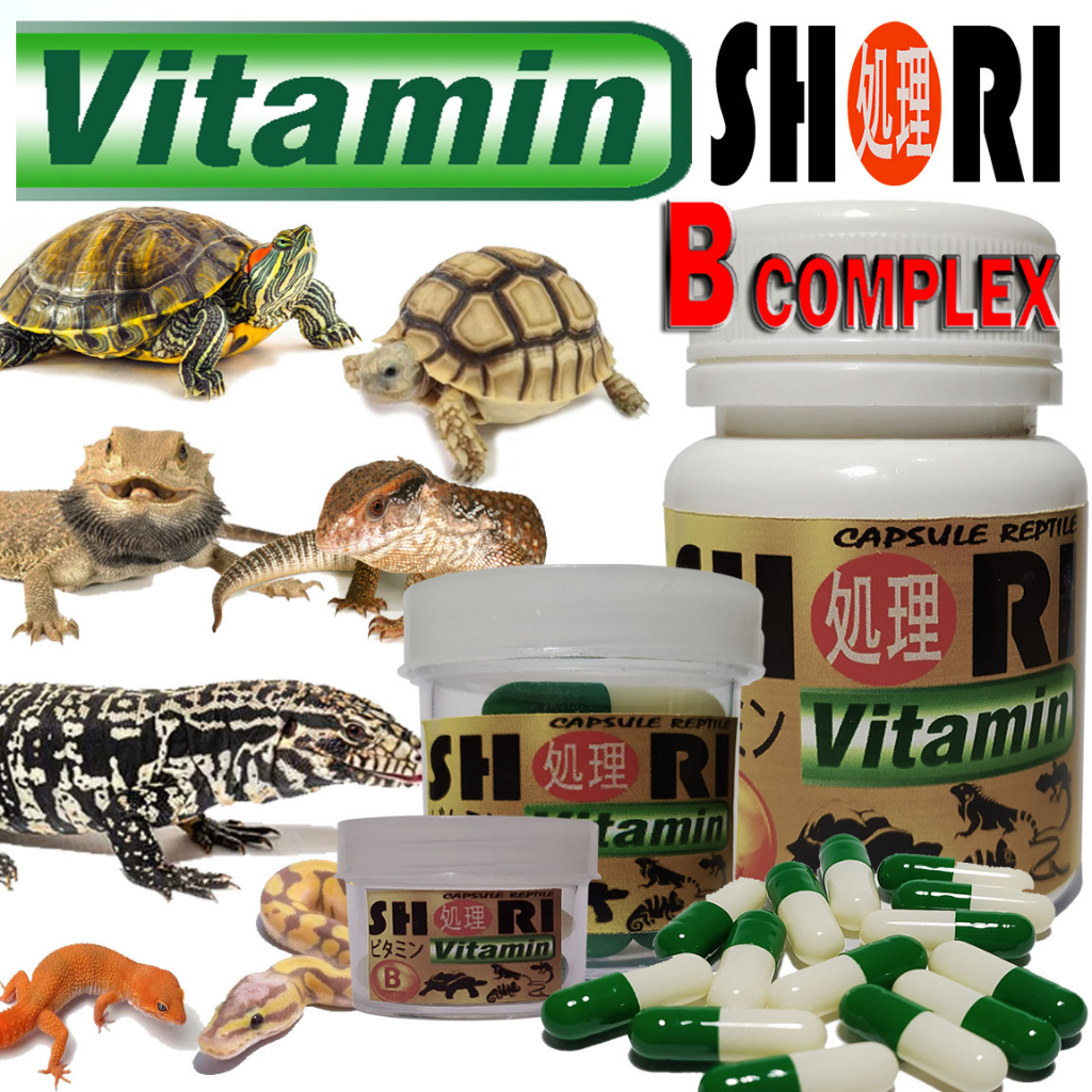 SHORI VITAMIN KAPSUL OBAT SUPLEMEN REPTILE GECKO BD ULAR KURA SULCATA PARDALIS TURTLE BIAWAK IGUANA 