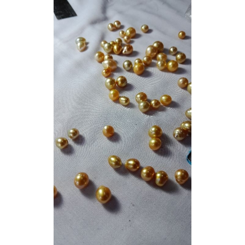 Butiran Mutiara air laut asli