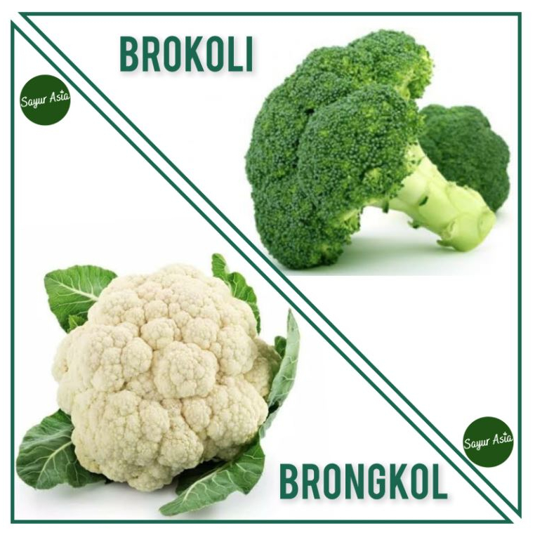 

BROKOLI / BUNGA KOL (KEMBANG KOL)