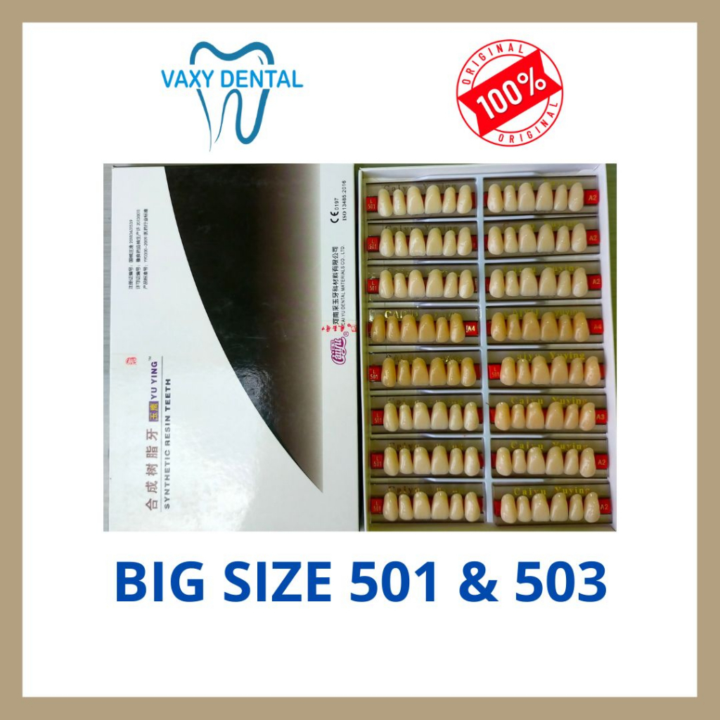 Gigi Palsu Caiyu Depan Atas 1 Box/Kotak/Dus Size 501 dan 503 Ukuran Besar Jumbo Big Size isi 16 Papa