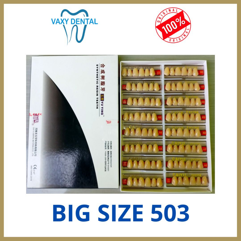RB22 Gigi Palsu Caiyu Depan Atas 1 Box/Kotak/Dus Size 501 Dan 503 Ukuran Besar Jumbo Big Size Isi 16