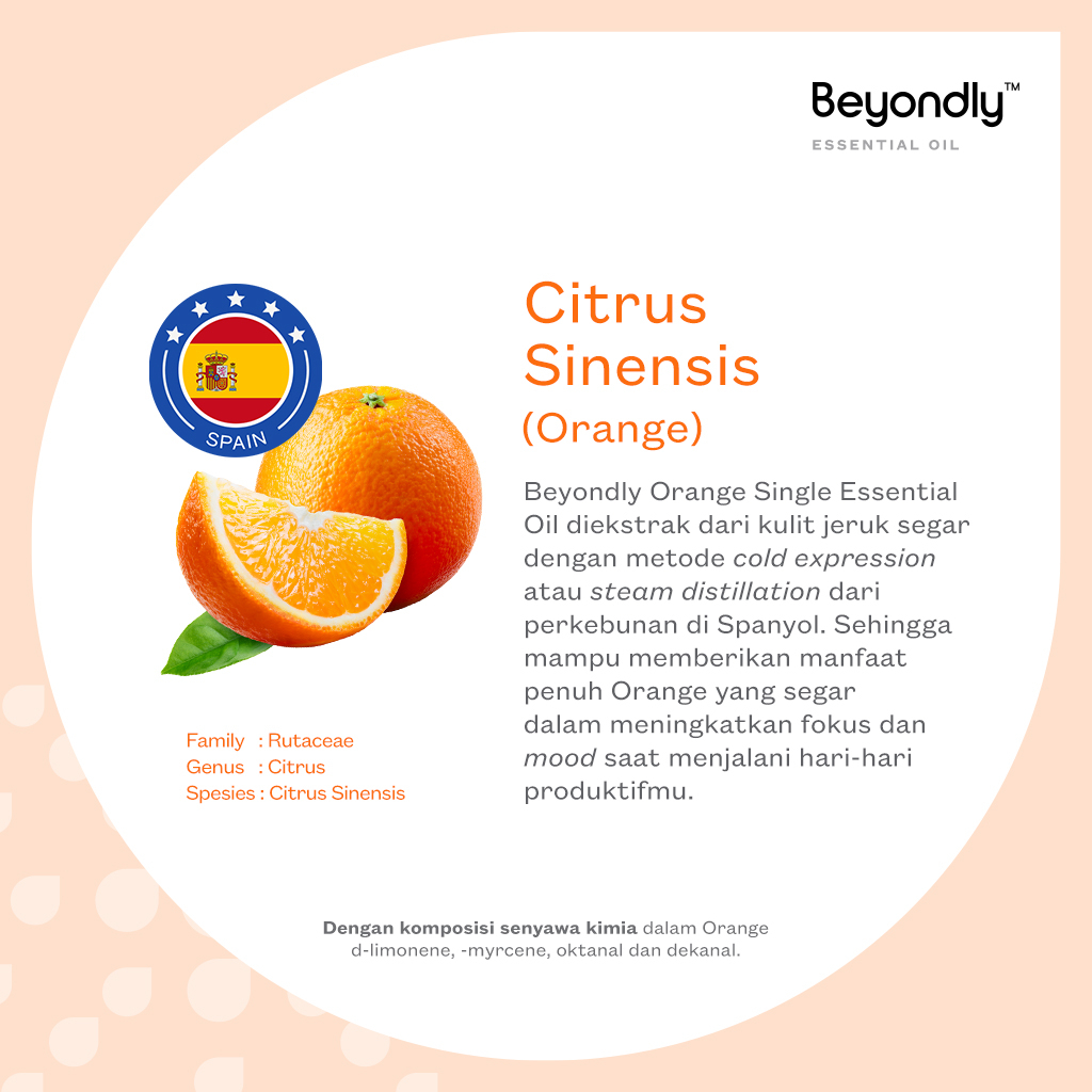 Beyondly Orange Single Essential Oil 10ml