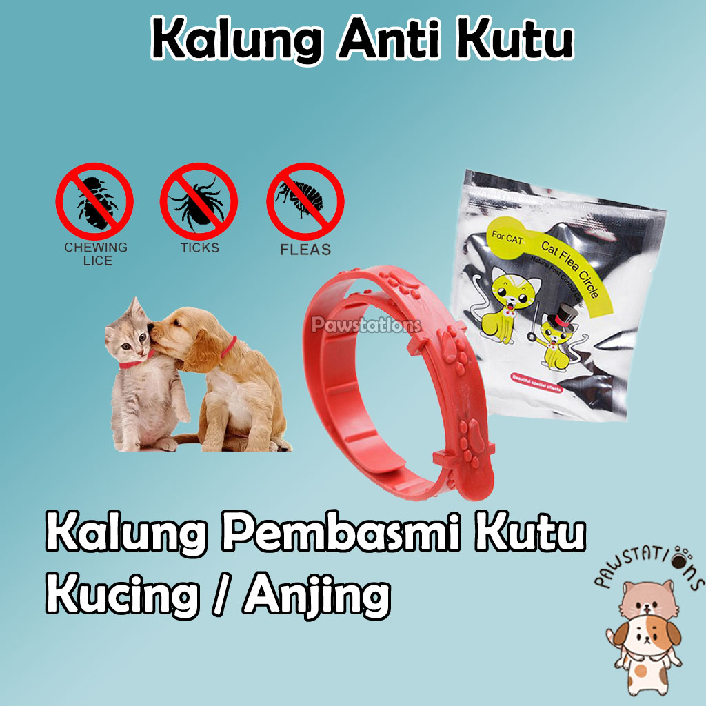 Kalung Anti Kutu Kalung Kucing Anti Kutu Kalung Anjing Anti Kutu