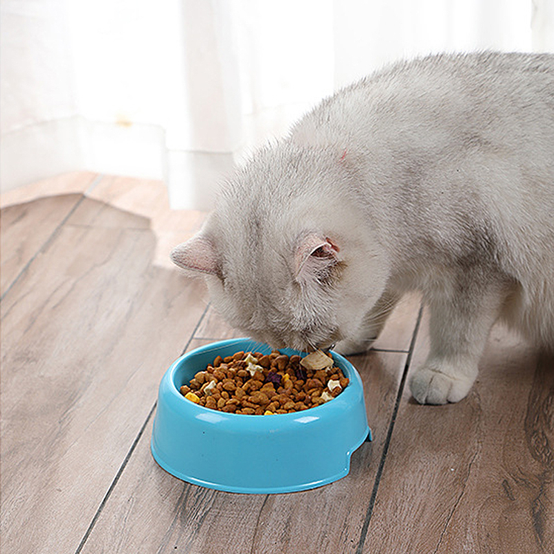 Mangkok Kucing Anjing Bulat Anti Slip Anti Semut Tempat Makan Minum Hewan Single Bowl Kucing Anjing Mangkuk Hewan Peliharaan