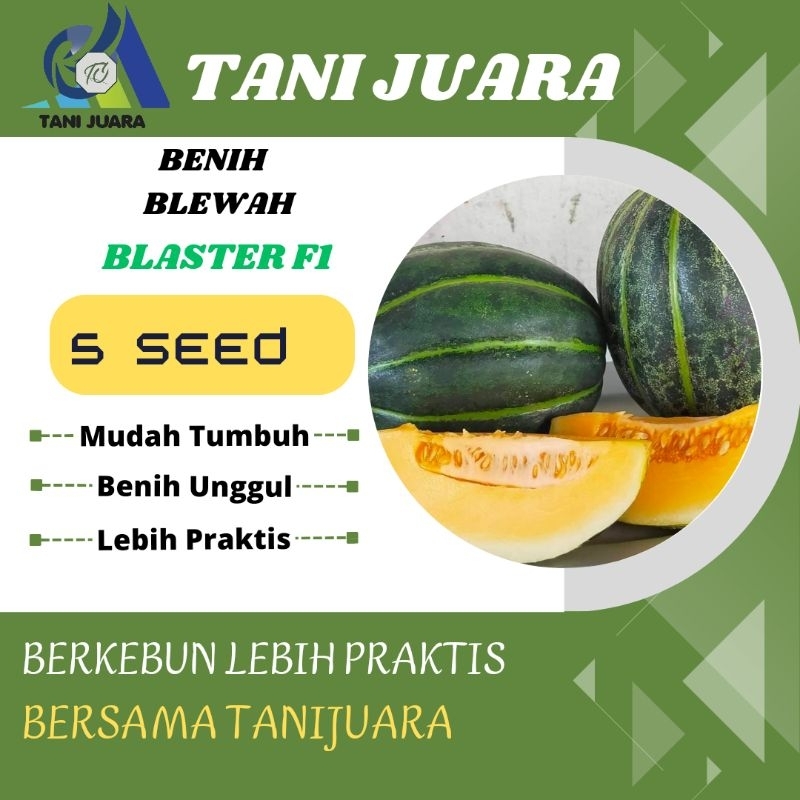 BENIH BLEWAH 5 BIJI - BIBIT BLEWAH HIBRIDA BLASTER - BISMA - ARUNA REPACK