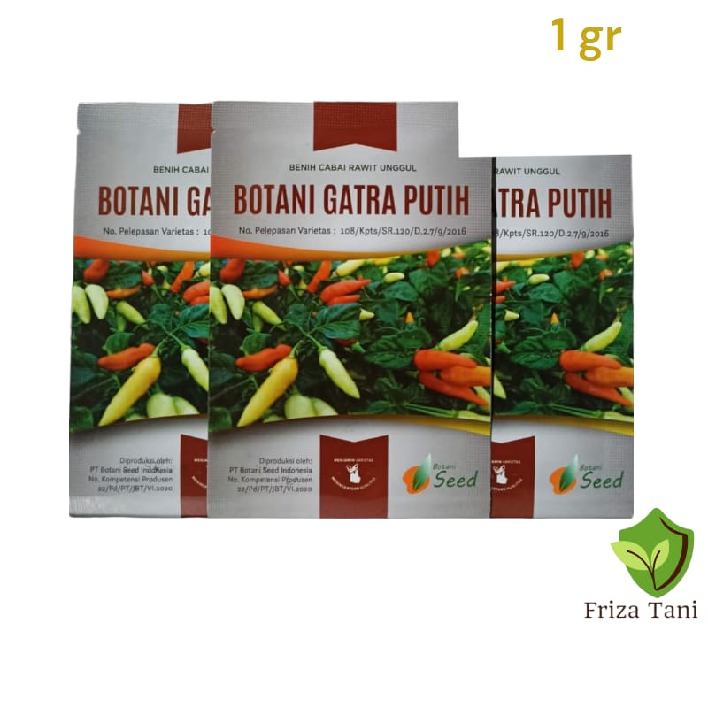 Benih Bibit Cabe cabai Gatra Putih 1 Gr 216 Butir Botani seed