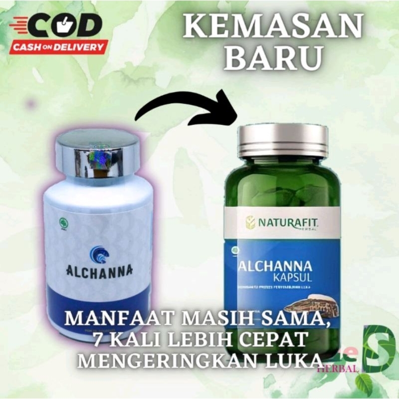 ALCHANNA KAPSUL KUTUK PREMIUM 100% ORIGINAL EKSTRA IKAN GABUS KUTUK PASCA OPERASI CESAR SESAR ASI BOOSTER GROSIR TERMURAH