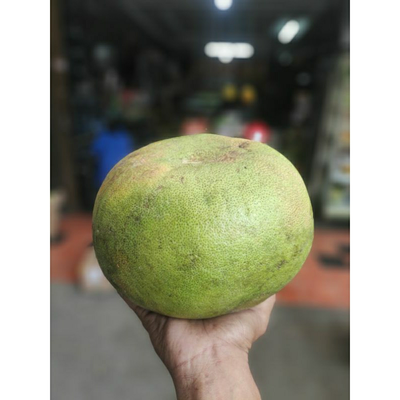 

jeruk madiun per buah