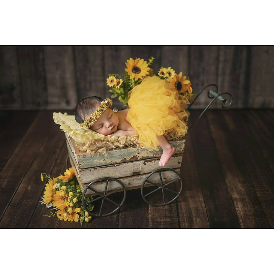 Properti Foto Newborn Farmer Wagon Stroller
