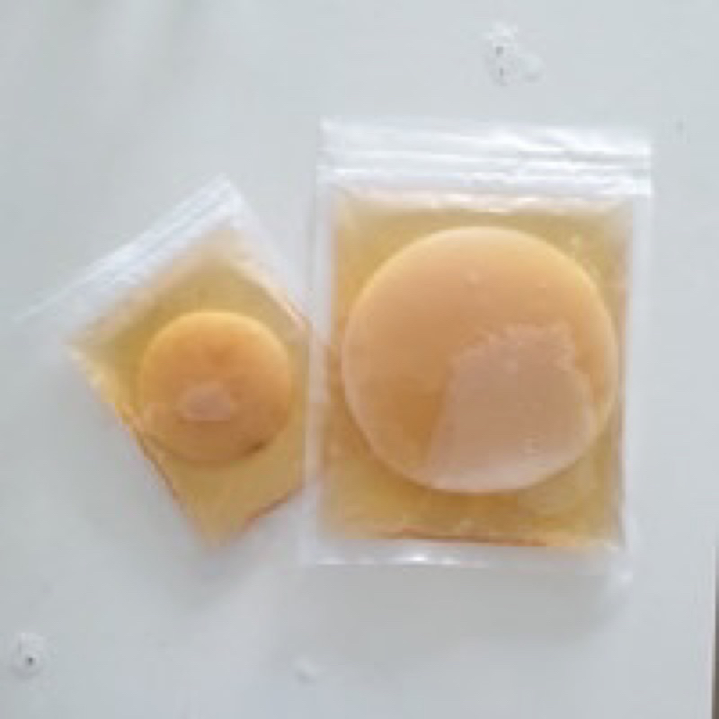 

Scooby Bibit Kombucha ( Sudah bonus starter )