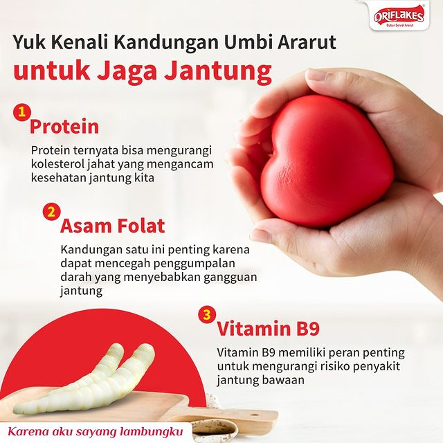 ORIFLAKES 10 BOX Umbi Garut ASAM LAMBUNG MAAG 900 GRAM