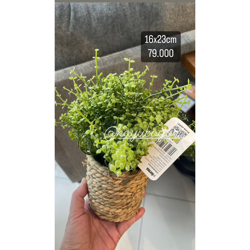 tanaman Artificial Informa