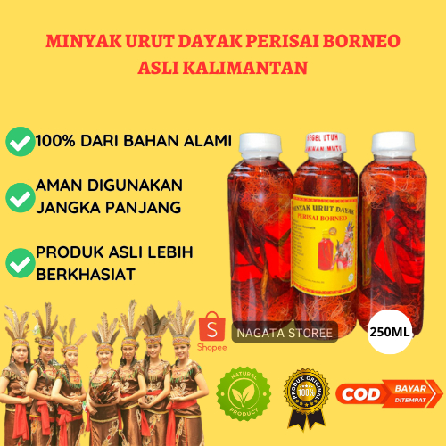Minyak Dayak Asli Kalimantan | Minyak Urut Dayak 100% Original | Minyak Urut | Minyak Dayak Ori