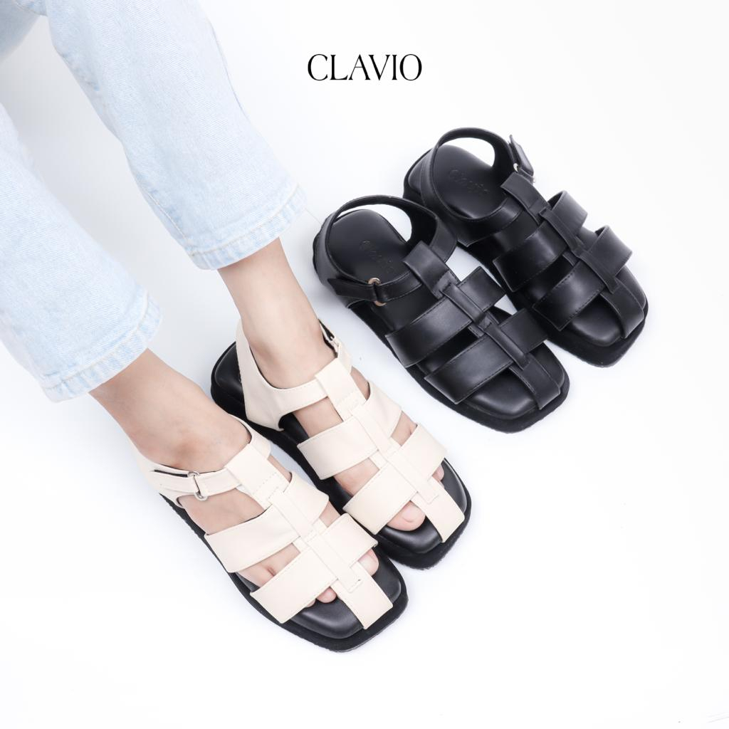 CLAVIO Erica Platform