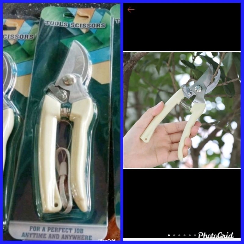 Gunting dahan ranting bunga