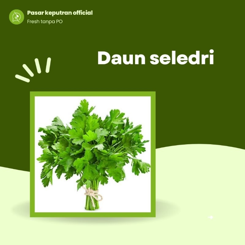 

Seledri 100gr,seledri segar, seledri fresh, daun seledri