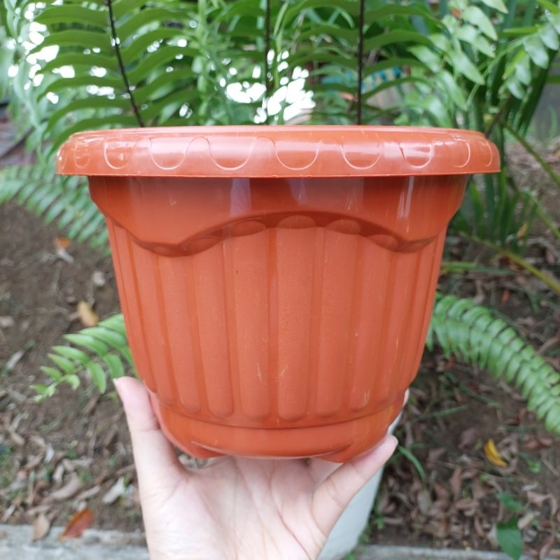 SHALLOM MIO size 20 : pot bunga bulat dengan kuping bagus murah
