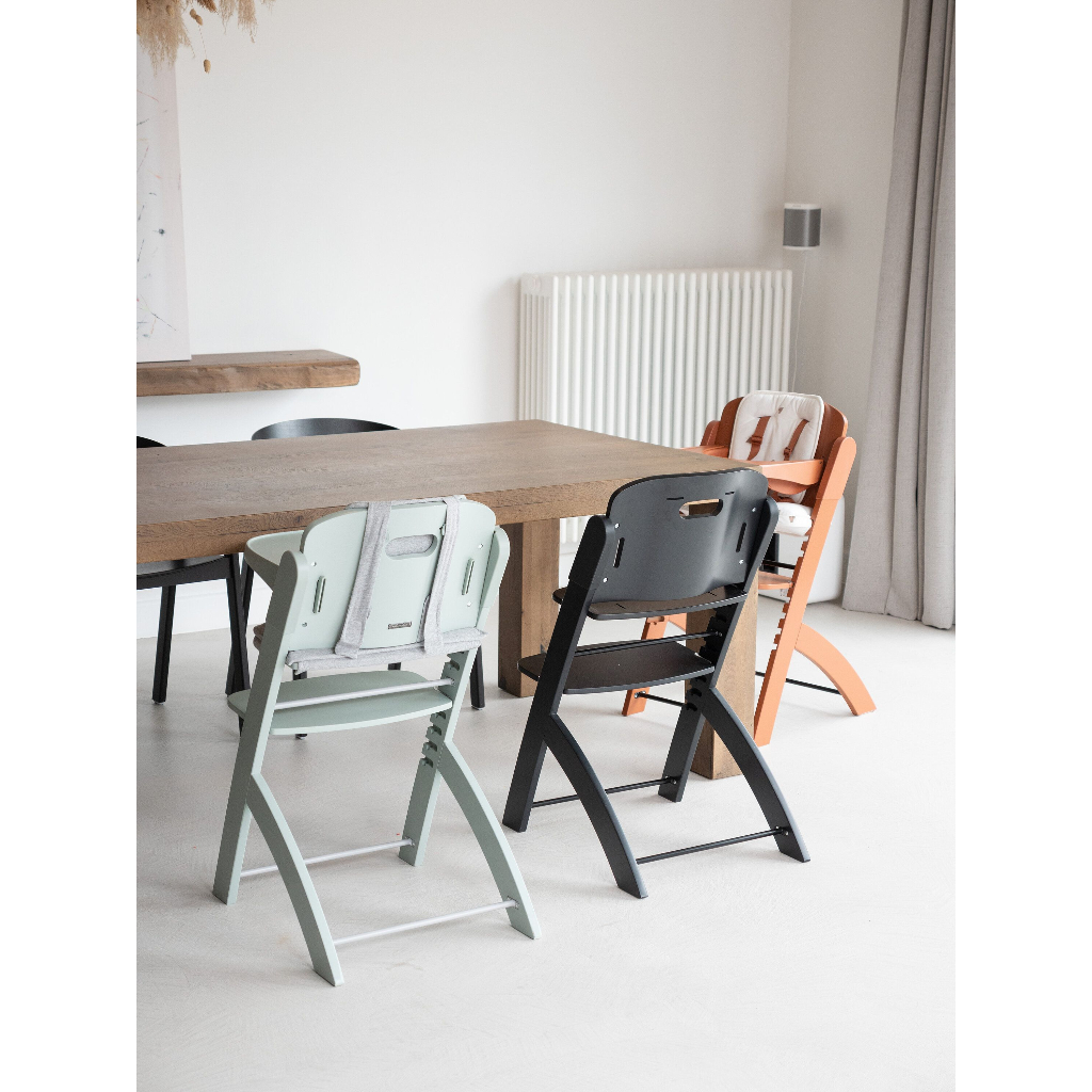 CHILDHOME EVOLU 2 HIGH CHAIR ADJUSTABLE