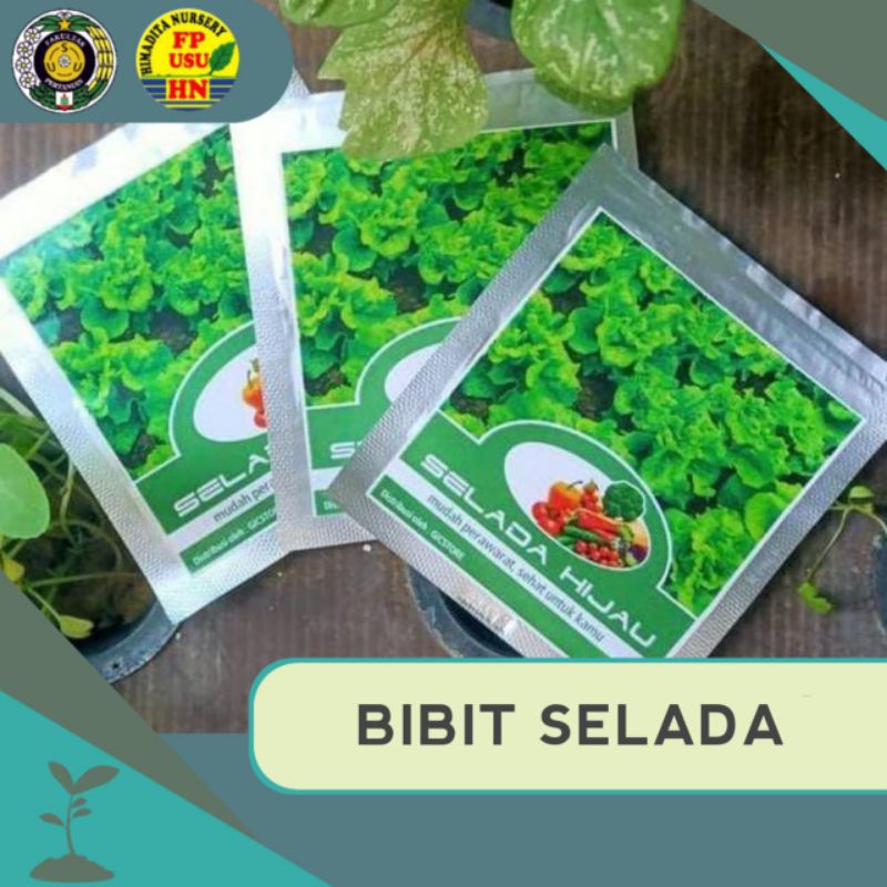BibitSelada