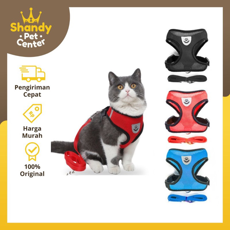 HARNES ROMPI KUCING
