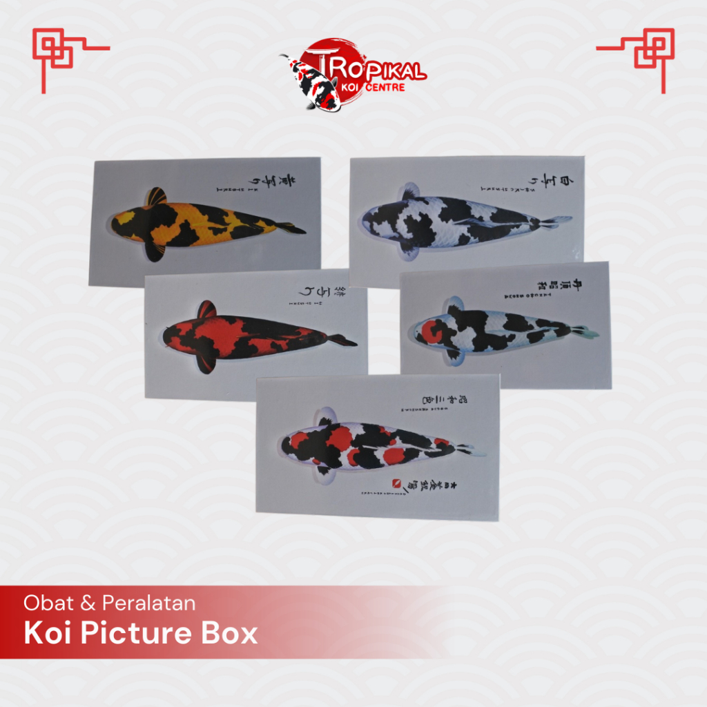 TKC Koi Picture Box Hiasan Kolam Ikan Koi - Tropikal Koi