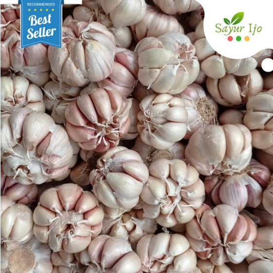 

Bawang Putih 480 - 500 Gram Fresh Garlic Sayur Hijau Segar Bumbu Dasar Rempah Masakan Dapur