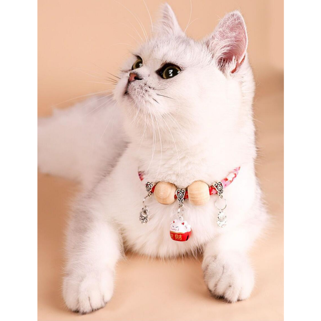 Hugopet Kucing Kalung Anti Kutu Dan Serangga Gaya Pest Control Collar Natural Kalung Kutu Anti Fleas Ticks Anjing Kucing