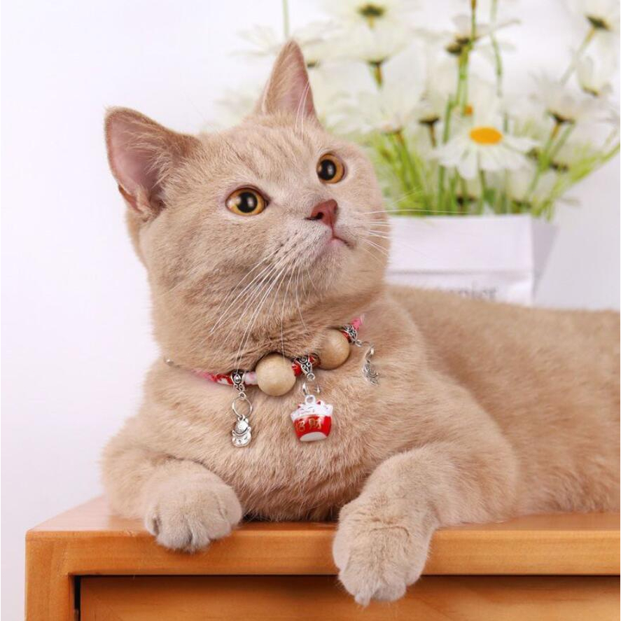 Hugopet Kucing Kalung Anti Kutu Dan Serangga Gaya Pest Control Collar Natural Kalung Kutu Anti Fleas Ticks Anjing Kucing