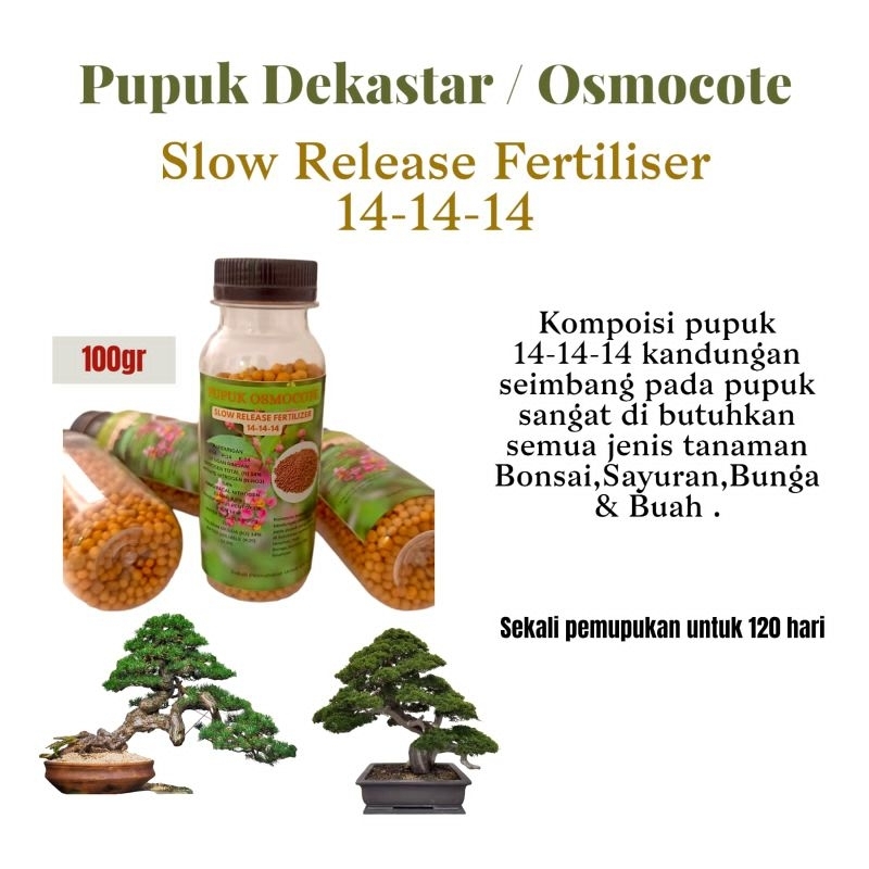 PupukDekastar || Pupuk Osmocote 14-14-14  (100gr)