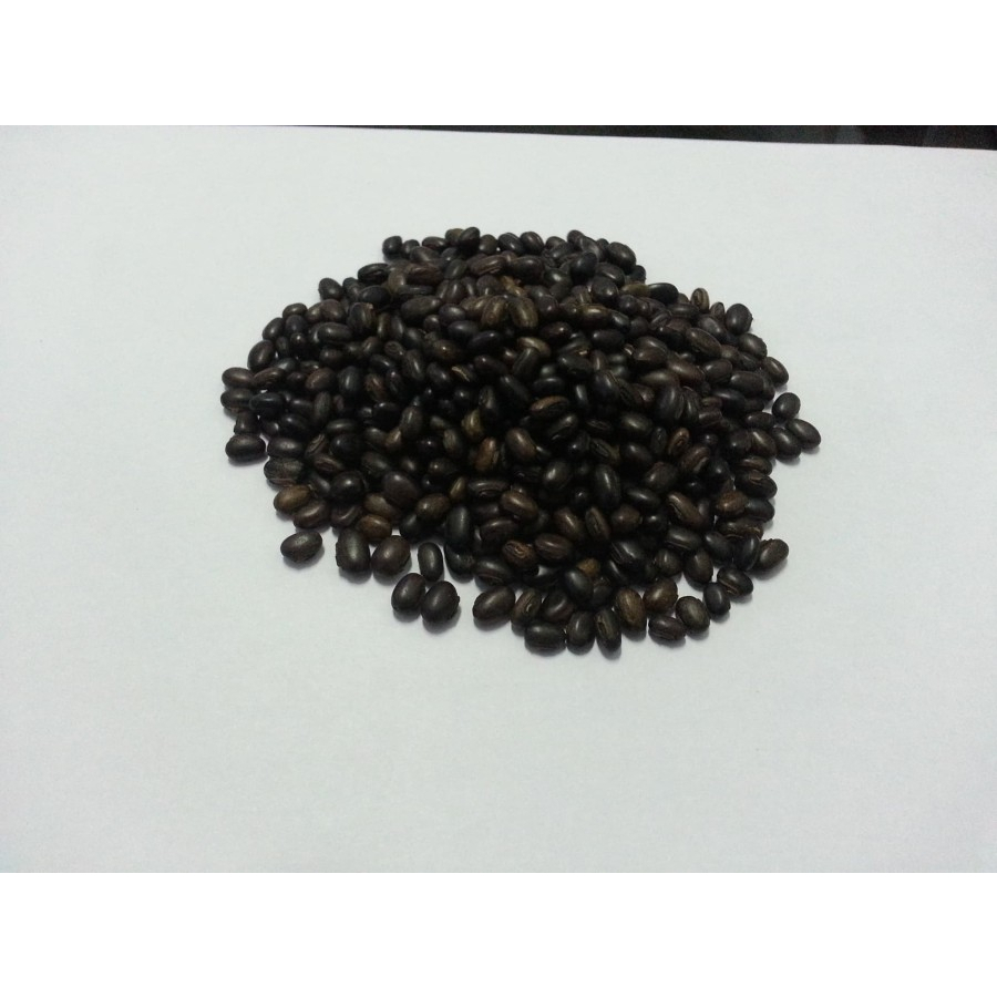 Kacangan MB (Mucuna Bracteata)